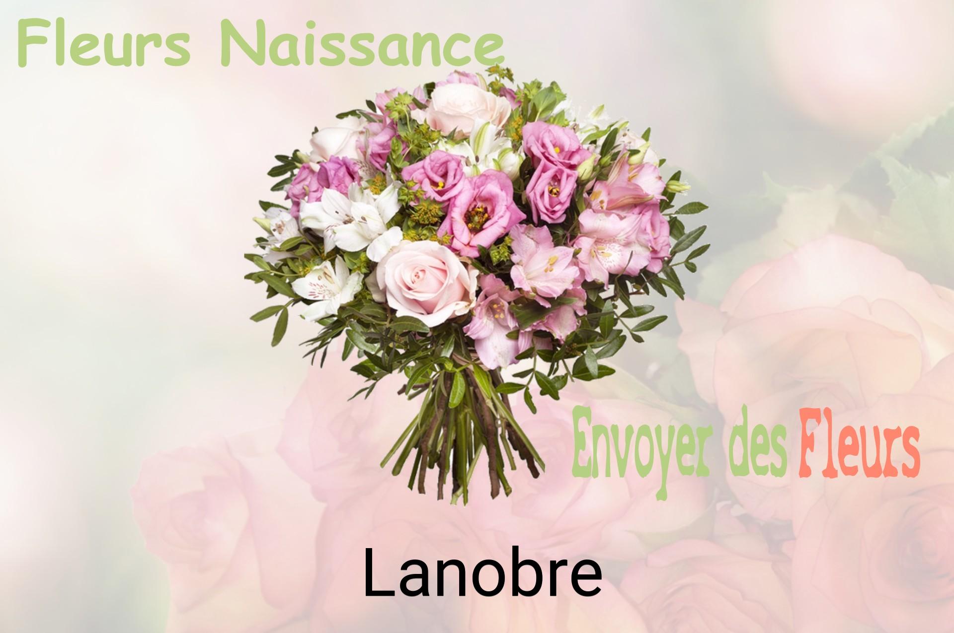 Bouquet de fleurs de naissance livré à Lanobre